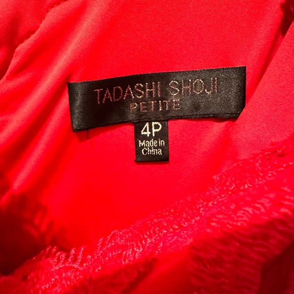 EUC Tadashi Shoji Embroidered Lace V-Neck Dress -4P - Picture 4 of 6